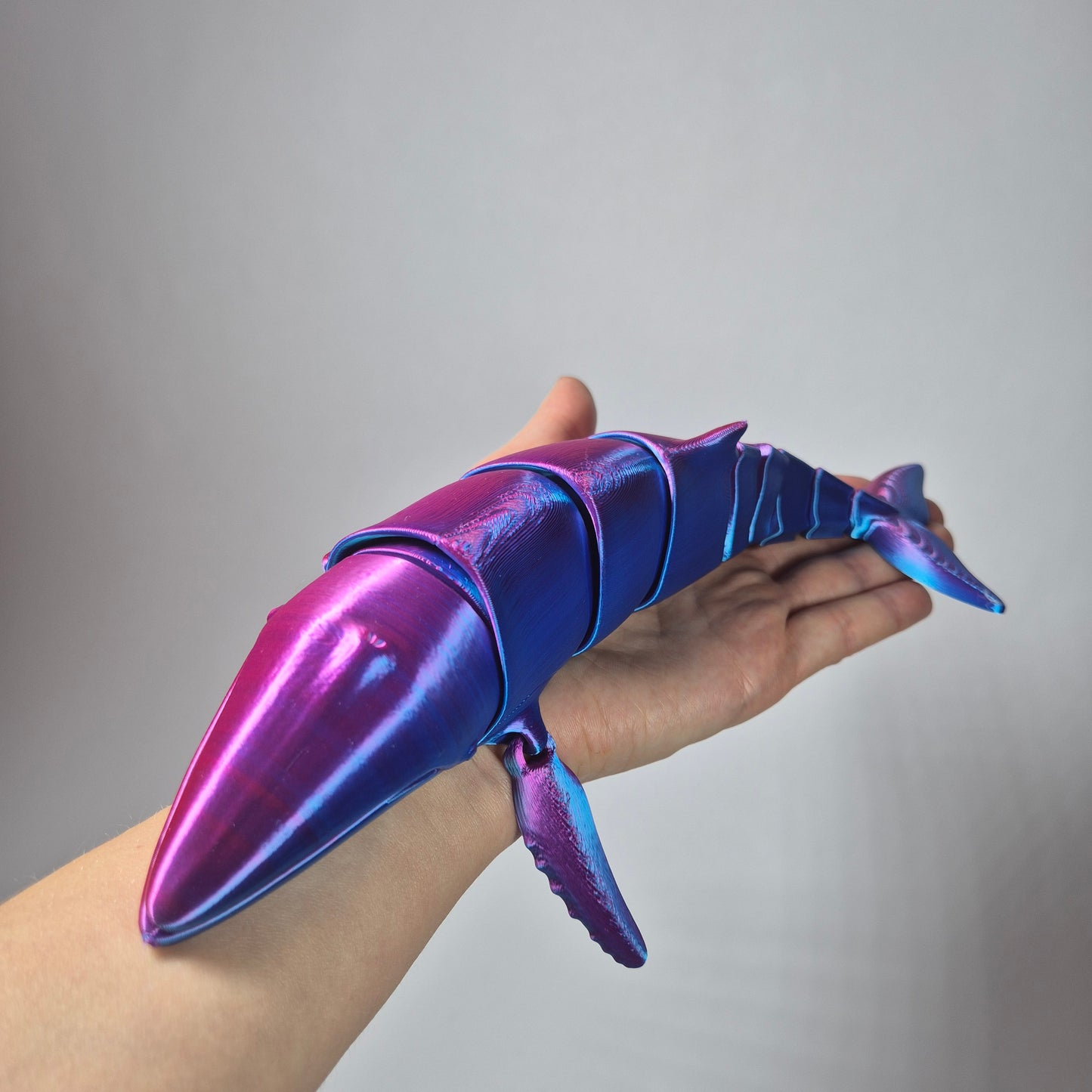 Whale Toy 3