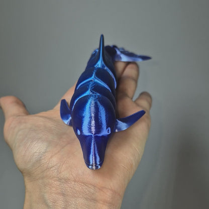 Dolphin Clipper Toy